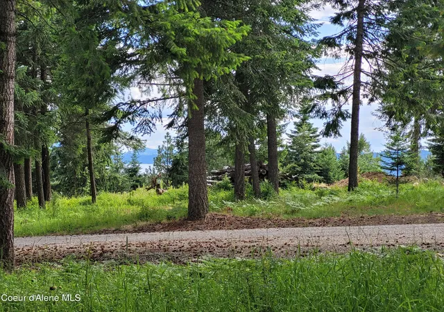 Homes for sale in Harrison, ID | Nka S Skyview Rd, Harrison, ID 83833 | MLS# 26-3339