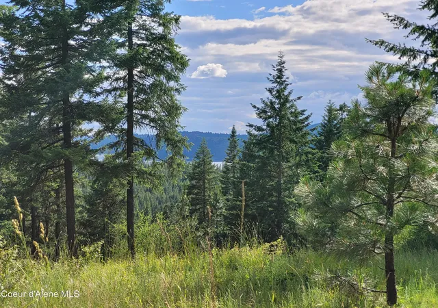 Homes for sale in Harrison, ID | Nka S Skyview Rd, Harrison, ID 83833 | MLS# 26-3339
