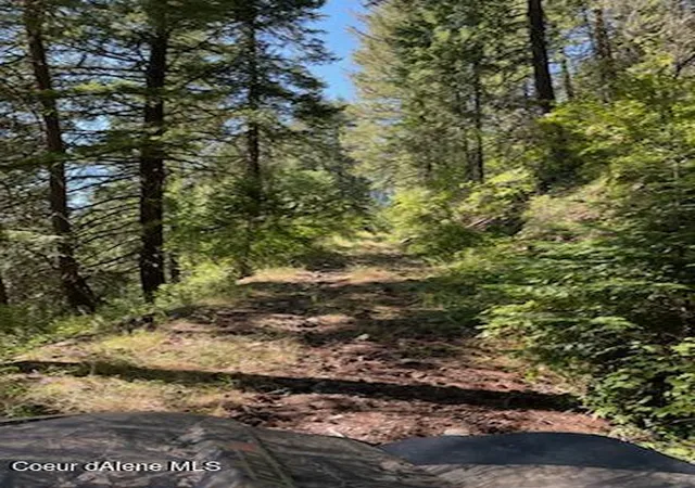 3rd image of Nka Burke 3438 Acres Rd, Wallace, ID 83873 | MLS# 26-3633