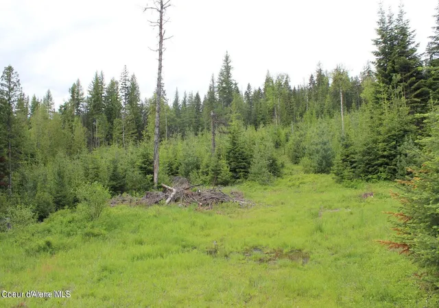3rd image of Nka Ropp Rd, Priest River, ID 83856 | MLS# 26-564