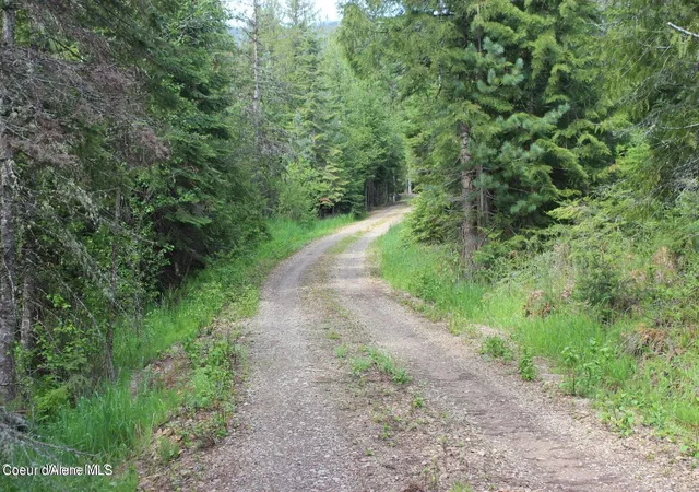 4th image of Nka Ropp Rd, Priest River, ID 83856 | MLS# 26-564