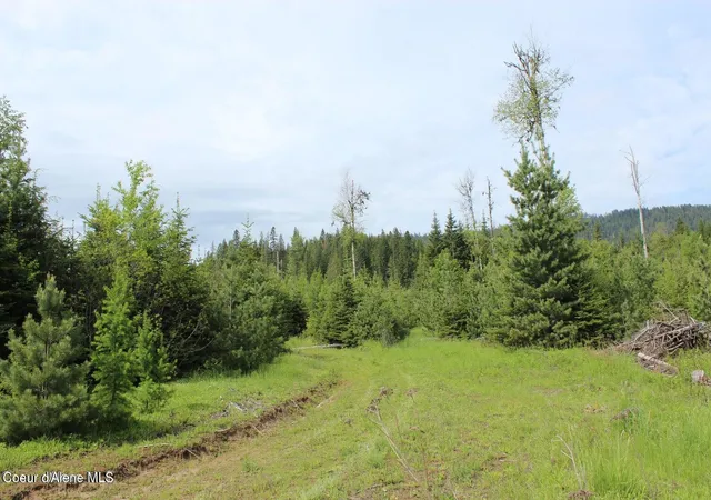5th image of Nka Ropp Rd, Priest River, ID 83856 | MLS# 26-564