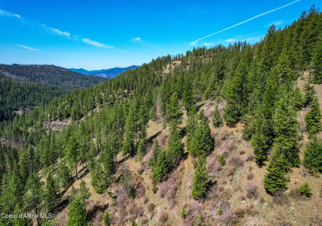 3rd image of Nna Canary Creek Rd, Cataldo, ID 83810 | MLS# 26-53