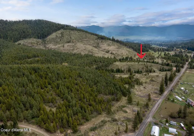 4th image of 1175 Sheep Creek Parcel E, Santa, ID 83866 | MLS# 26-162