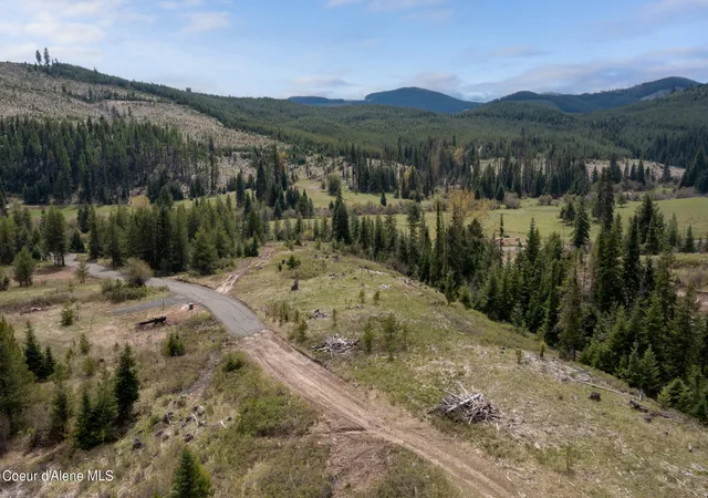 5th image of 1175 Sheep Creek Parcel E, Santa, ID 83866 | MLS# 26-162