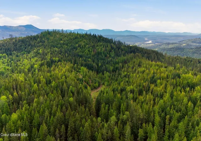 4th image of Nna N Whittum Rd, Priest River, ID 83856 | MLS# 26-535