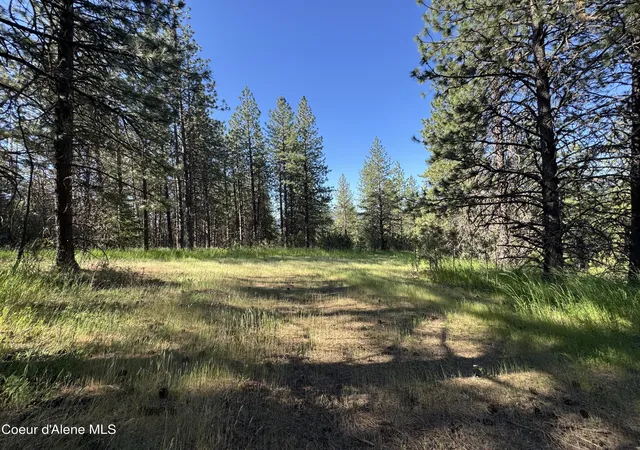 4th image of Nka(Lot 3) Baby Cougar Lane, Coeur D'alene, ID 83815 | MLS# 26-601