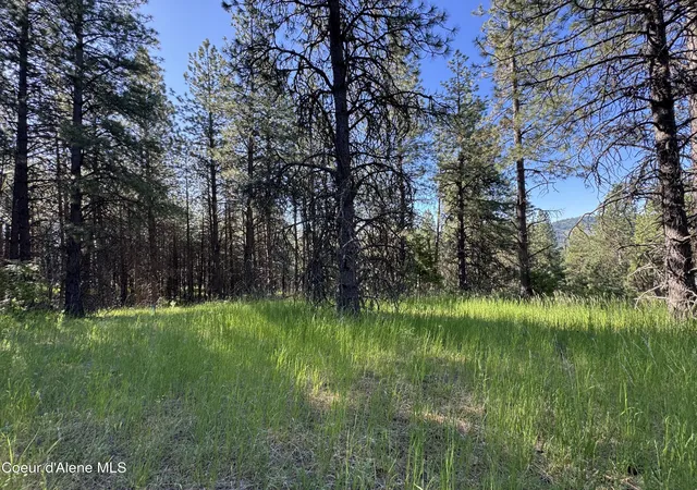 5th image of Nka(Lot 3) Baby Cougar Lane, Coeur D'alene, ID 83815 | MLS# 26-601
