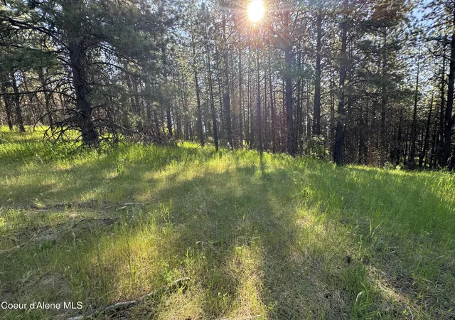 3rd image of Nka(Lot 3) Baby Cougar Lane, Coeur D'alene, ID 83815 | MLS# 26-601