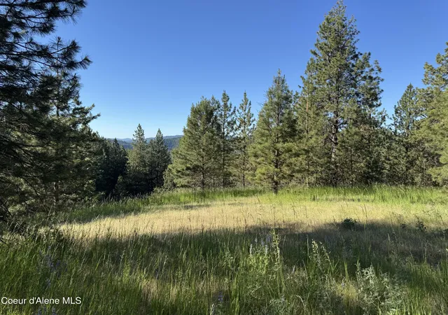 1st image of Nka(lot 2) Baby Cougar Lane, Coeur D'alene, ID 83815 | MLS# 26-602