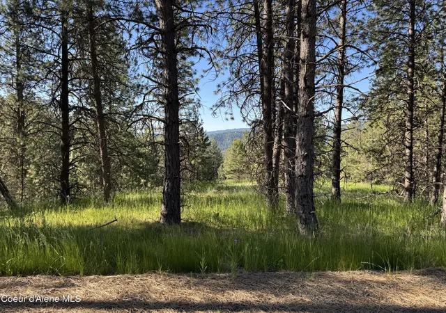 2nd image of Nka(lot 2) Baby Cougar Lane, Coeur D'alene, ID 83815 | MLS# 26-602