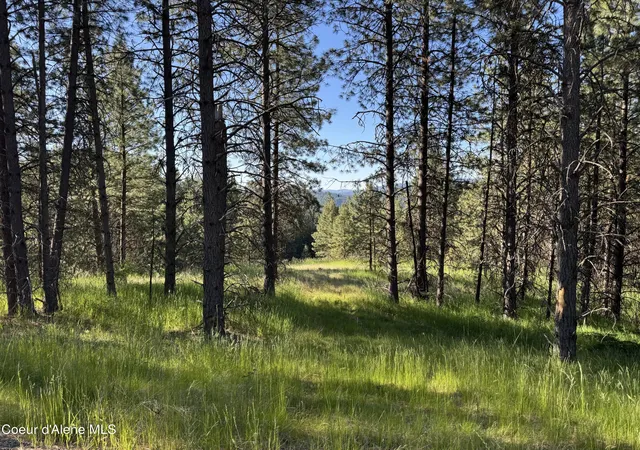 3rd image of Nka(Lot 2) Baby Cougar Lane, Coeur D'alene, ID 83815 | MLS# 26-602