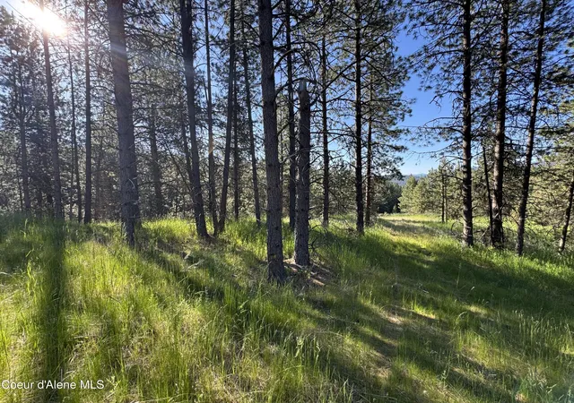 4th image of Nka(Lot 2) Baby Cougar Lane, Coeur D'alene, ID 83815 | MLS# 26-602