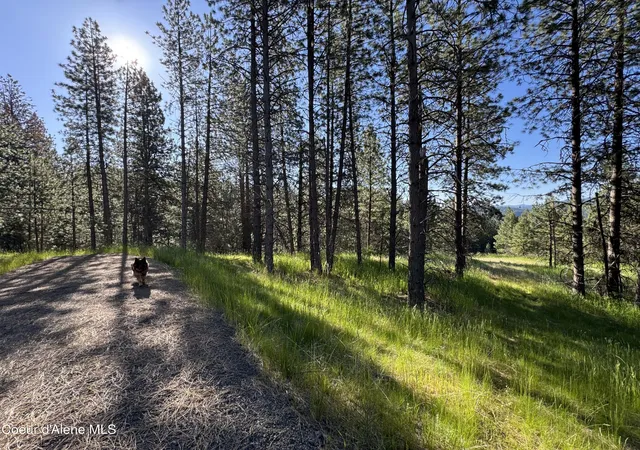 5th image of Nka(Lot 2) Baby Cougar Lane, Coeur D'alene, ID 83815 | MLS# 26-602