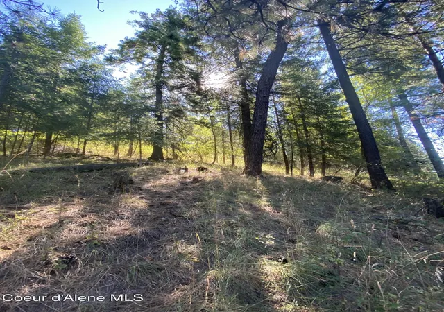 21st image of Nka E Driftwood Heights Dr, Coeur D'alene, ID 83814 | MLS# 26-743