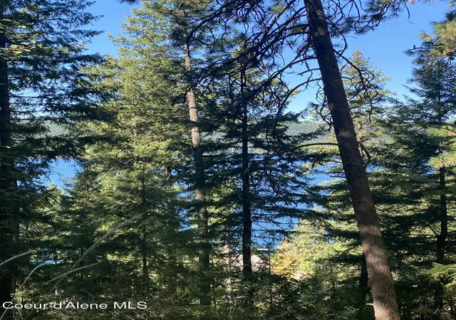 4th image of Nka E Driftwood Heights Dr, Coeur D'alene, ID 83814 | MLS# 26-743