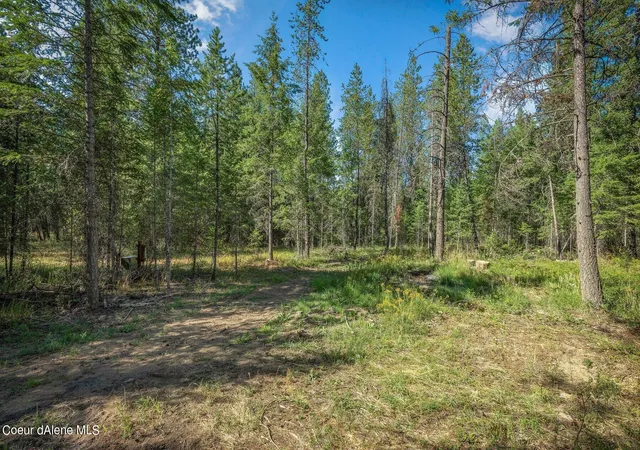 Photo 3 of Land for sale at L3 Smokewood Dr, Athol, ID 83801 | MLS# 26-3435 | Listing updated on 2026-08-13