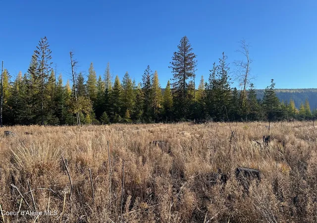 Photo 3 of Land for sale at Tract G Usfs 2222a, Bonners Ferry, ID 83805 | MLS# 26-881 | Listing updated on 2026-05-05