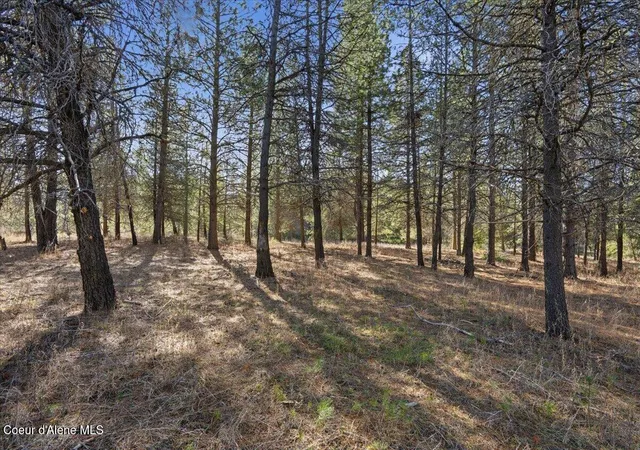 Homes for sale in Spirit Lake, ID | 33482 N Charlotte Dr, Spirit Lake, ID 83869 | MLS# 26-1807