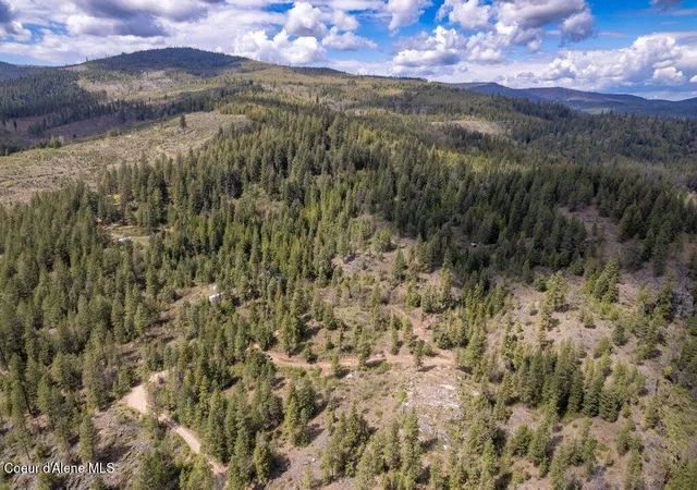 Homes for sale in Spirit Lake, ID | 1131 Cabin Ridge Rd, Spirit Lake, ID 83869 | MLS# 26-1390