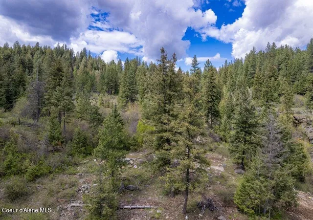 Homes for sale in Spirit Lake, ID | 1131 Cabin Ridge Rd, Spirit Lake, ID 83869 | MLS# 26-1390