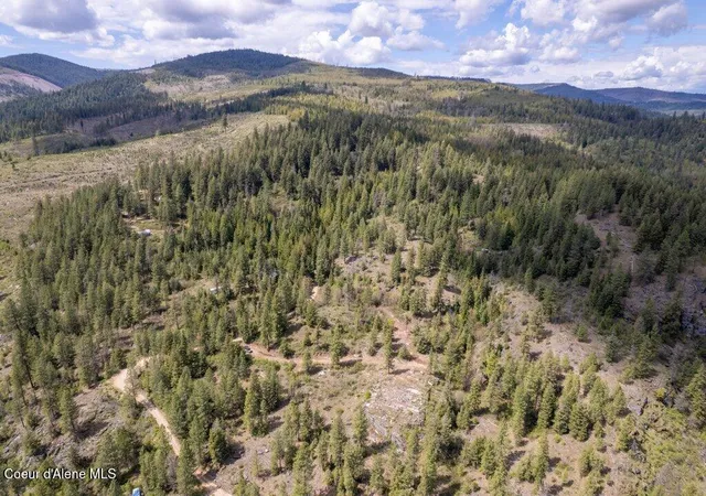 Photo 3 of Land for sale at 1131 Cabin Ridge Rd, Spirit Lake, ID 83869 | MLS# 26-1390 | Listing updated on 2026-08-26