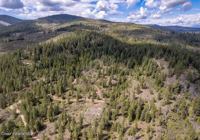 Photo 3 of Land for sale at 1131 Cabin Ridge Rd, Spirit Lake, ID 83869 | MLS# 26-1390 | Listing updated on 2026-08-26