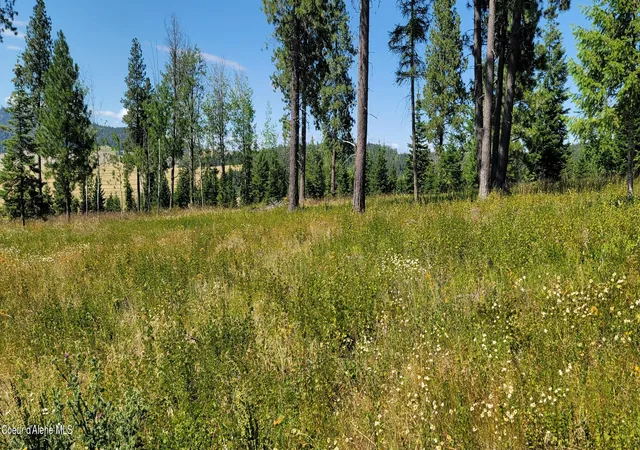 5th image of Nka Ranch Road, Plummer, ID 83851 | MLS# 26-1753