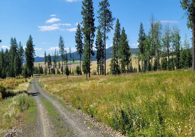 Homes for sale in Plummer, ID | Nka Ranch Road, Plummer, ID 83851 | MLS# 26-1753