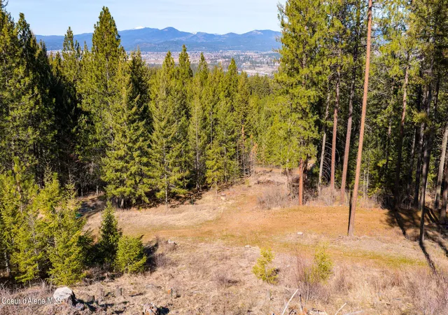 3rd image of 900 S Sereneview Dr, Post Falls, ID 83854 | MLS# 26-1823