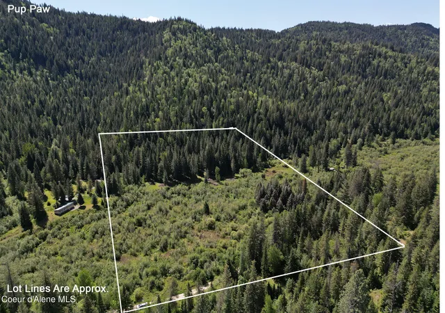 Homes for sale in Priest River, ID | Nna Pup Paw Trail, Priest River, ID 83856 | MLS# 26-2032