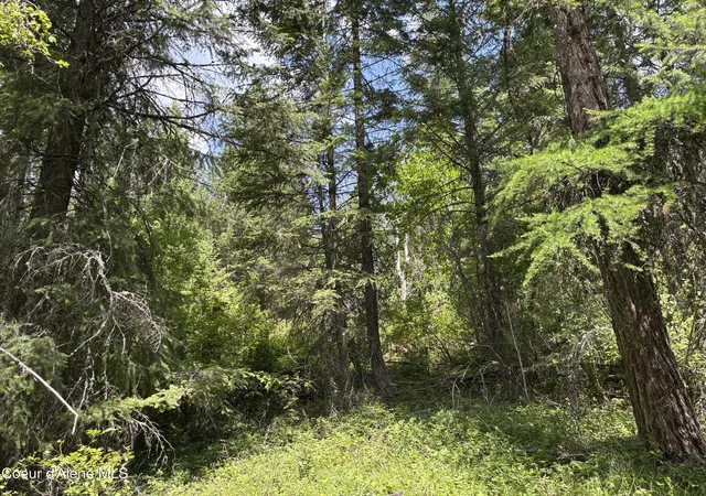 2nd image of Nna No End Road, Cocolalla, ID 83813 | MLS# 26-2340