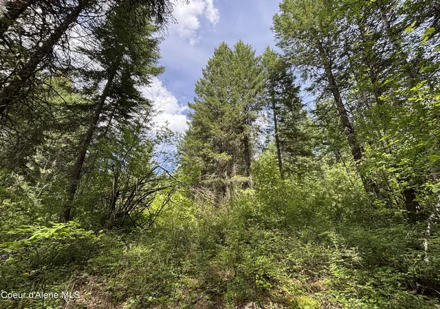 3rd image of Nna No End Road, Cocolalla, ID 83813 | MLS# 26-2340