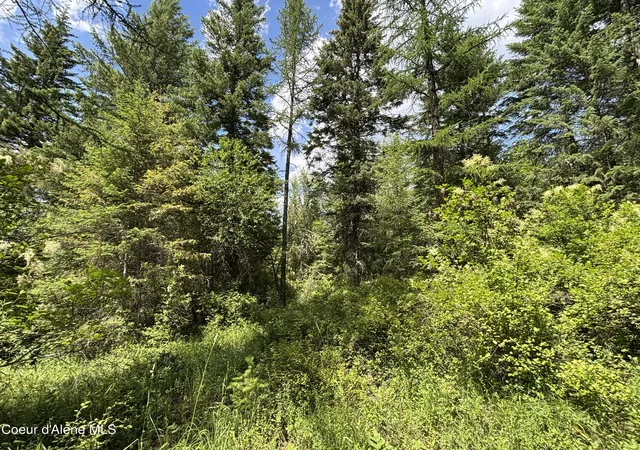 4th image of Nna No End Road, Cocolalla, ID 83813 | MLS# 26-2340