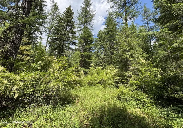 5th image of Nna No End Road, Cocolalla, ID 83813 | MLS# 26-2340