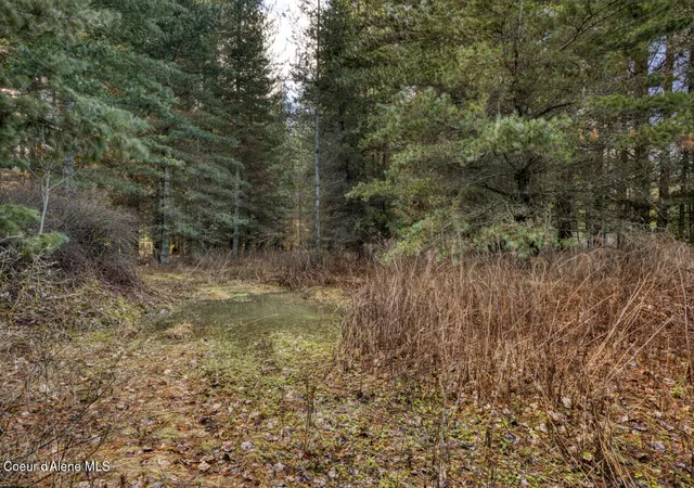 Homes for sale in Sandpoint, ID | 64 W Bronx Rd, Sandpoint, ID 83864 | MLS# 26-2482