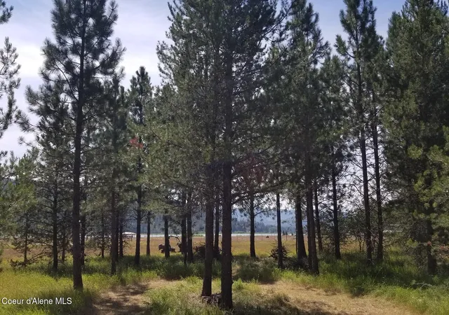 1st image of Nna Ponderesa Ranch Rd, Sagle, ID 83860 | MLS# 26-2277
