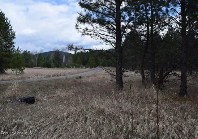 33rd image of Nna Ponderesa Ranch Rd, Sagle, ID 83860 | MLS# 26-2277