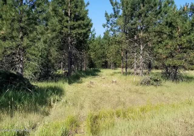 4th image of Nna Ponderesa Ranch Rd, Sagle, ID 83860 | MLS# 26-2277