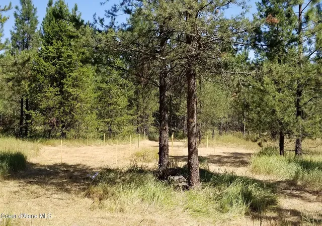 5th image of Nna Ponderesa Ranch Rd, Sagle, ID 83860 | MLS# 26-2277