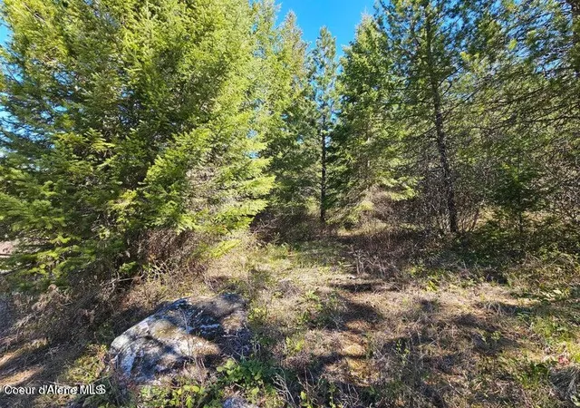 30th image of Nna N Sunset Hill Rd, Athol, ID 83801 | MLS# 26-2370