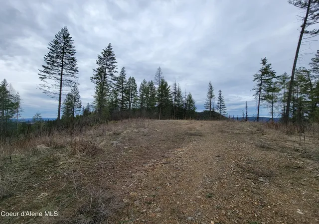 2nd image of Parcel A Lamb Rd Rd, Harrison, ID 83833 | MLS# 26-2476