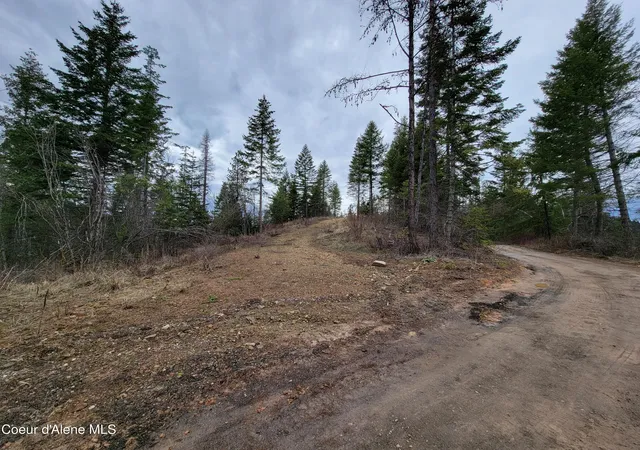 3rd image of Parcel A Lamb Rd Rd, Harrison, ID 83833 | MLS# 26-2476