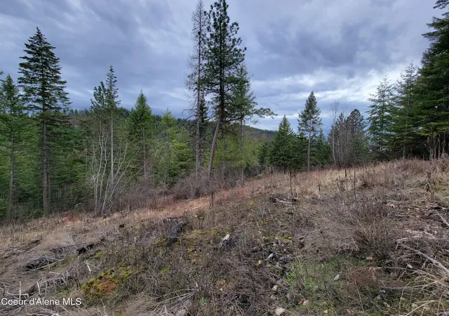 4th image of Parcel A Lamb Rd Rd, Harrison, ID 83833 | MLS# 26-2476