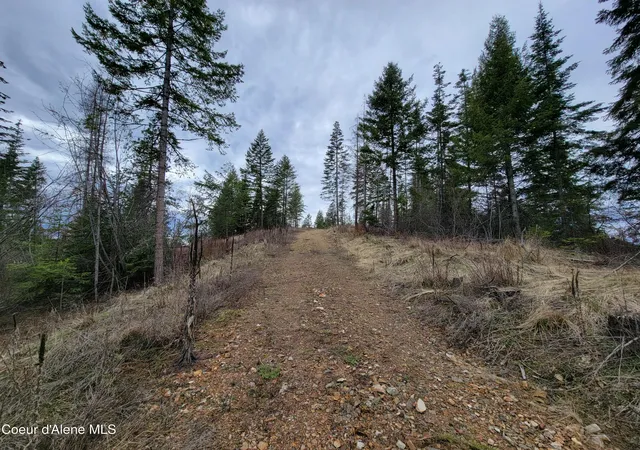 5th image of Parcel A Lamb Rd Rd, Harrison, ID 83833 | MLS# 26-2476