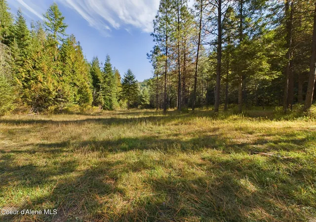4th image of 2815 Bear Creek Rd, Kingston, ID 83839 | MLS# 26-2514