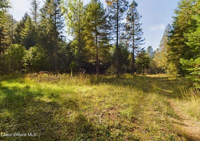 5th image of 2815 Bear Creek Rd, Kingston, ID 83839 | MLS# 26-2514