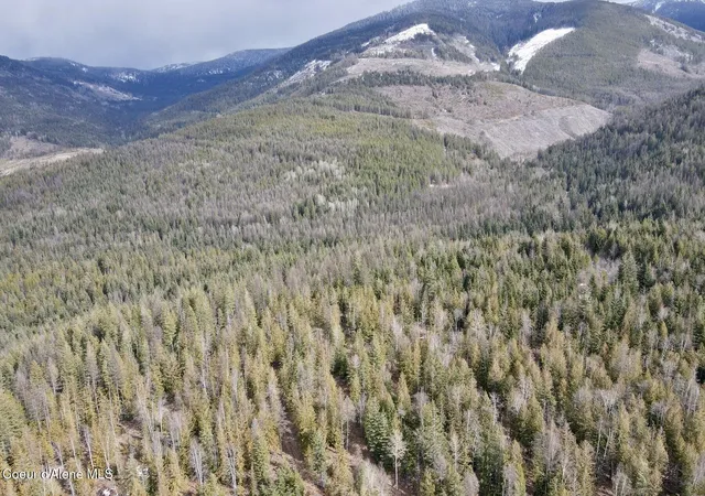 Homes for sale in Sandpoint, ID | Nna Cross Mountain Rd, Sandpoint, ID 83864 | MLS# 26-2440