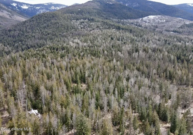 Homes for sale in Sandpoint, ID | Nna Cross Mountain Rd, Sandpoint, ID 83864 | MLS# 26-2440