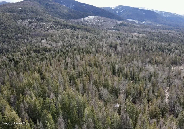 Homes for sale in Sandpoint, ID | Nna Cross Mountain Rd, Sandpoint, ID 83864 | MLS# 26-2440